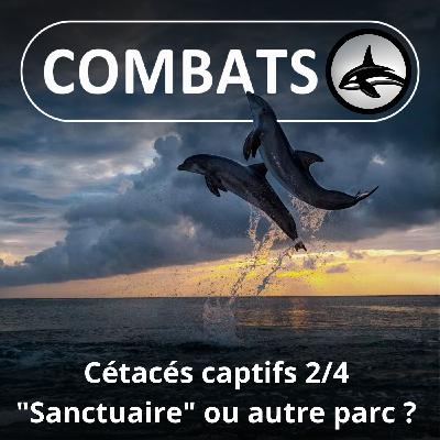 S05E57 Cétacés captifs en France 2/4 : "Sanctuaire" ou autre parc ?