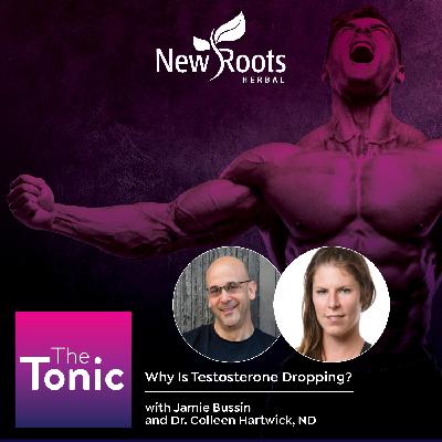 Why Is Testosterone Dropping?