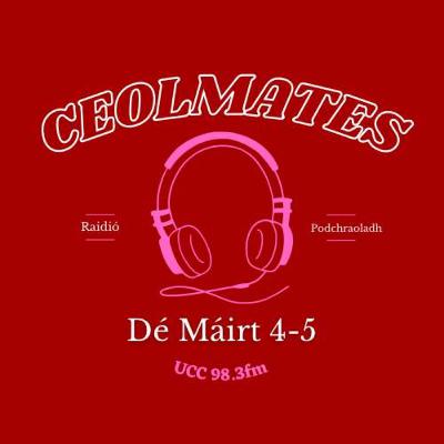 Ceolmates Séasúr 2- Agallamh le Coiste Breac