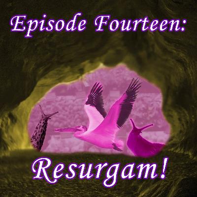 14 - Resurgam!