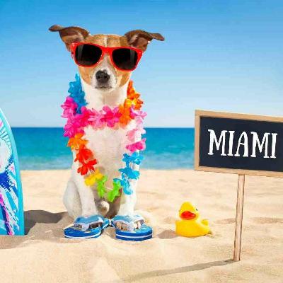 Talking Action With Mr 305 Talking Action With Mr 305