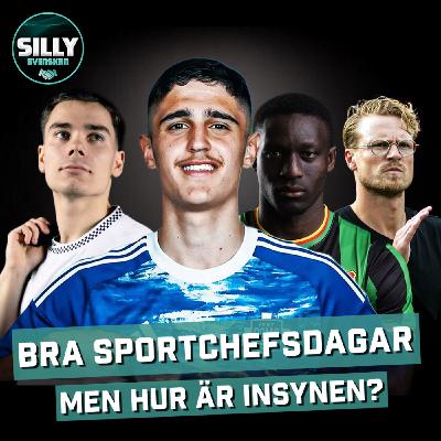 Sillysvenskan: Bra sportchefsdagar - men hur är insynen?