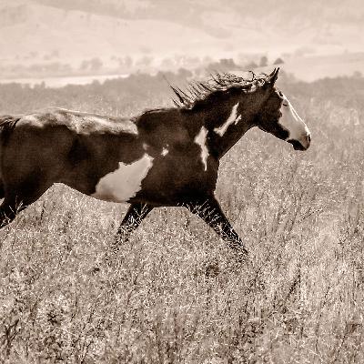 Guilty By Association Guilty By Association