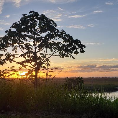 Esse eh um pequeno incentivo para o dia... todo dia!