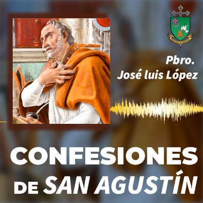 Libro VII - De las tinieblas a la luz de la verdad
