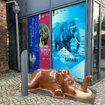 057 Eiszeitsafari und Steinzeitmusik