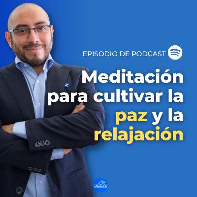 Meditación de paz y relajación (mindfulness) Meditación de paz y relajación (mindfulness)