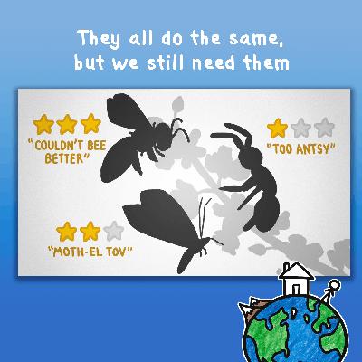 They all do the same, but we still need them