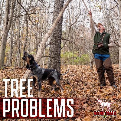 Tree Problems: Identifying and Correcting Issues
