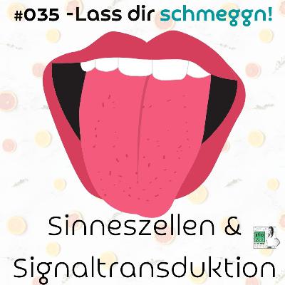 #035 - LassDirSchmeggn💋? Wie gut riechst du😤? - Sinneszellen & Signaltransduktion