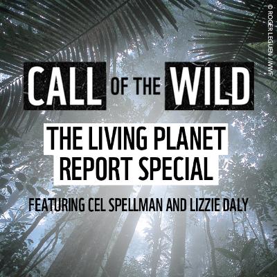 Living Planet Report – It’s Time to Act