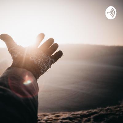 פרח השכונות