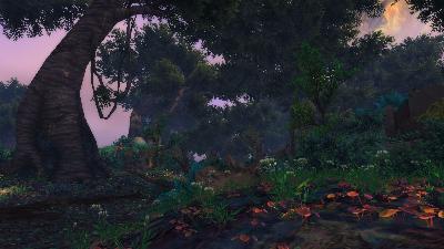 听时光 No.310 晓零兒 游走艾泽拉斯100 卡桑琅丛林-1 听时光 No.310 晓零兒 游走艾泽拉斯100 卡桑琅丛林-1