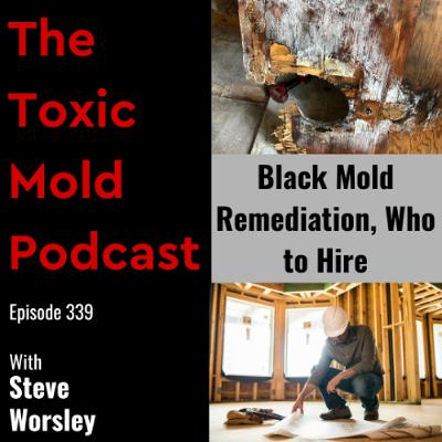 EP 339: Black Mold Remediation, Who to Hire
