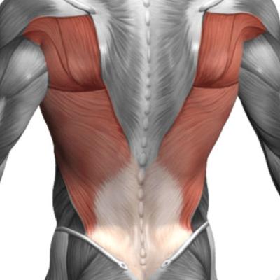 L' allenamento del dorso