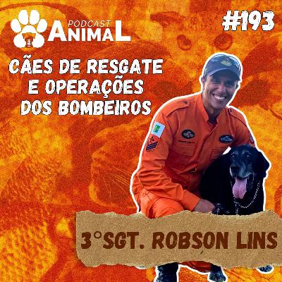 Podcast Animal 193 - Cães de resgate dos bombeiros com 3° Sargento Robson Lins Canil CBM DF