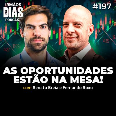MELHORES INVESTIMENTOS e POLÍTICA (RENATO BREIA e FERNANDO ROXO) - Irmãos Dias Podcast | EP 197