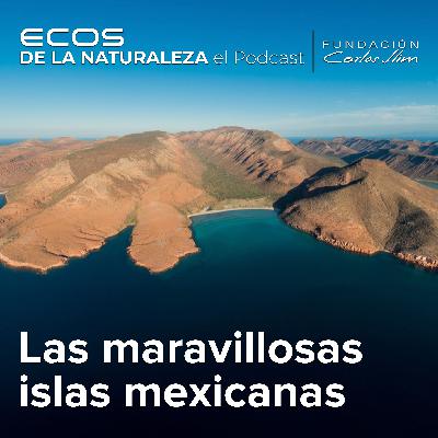 Las maravillosas Islas mexicanas: Episode #2