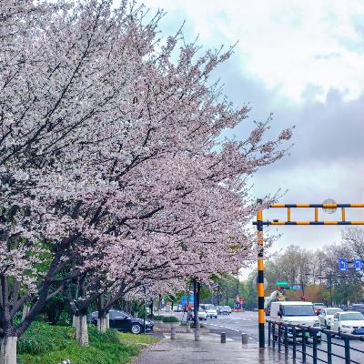 40.本站到达 春天站! 40.本站到达 春天站!