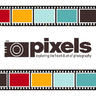 Holistic Approaches to Nature Photography with Michele Sons