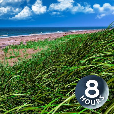 Ocean Waves and Gentle Breeze 8 Hours | Listen To Calm Your Mind & Relax