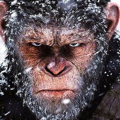 New DNA Study Destroys Human-Chimp Evolution Myth!