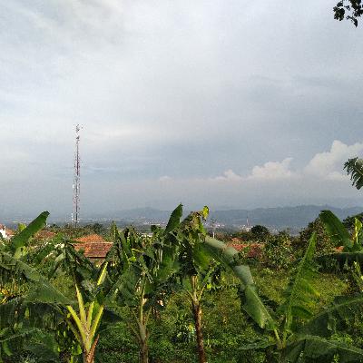 Perasaan