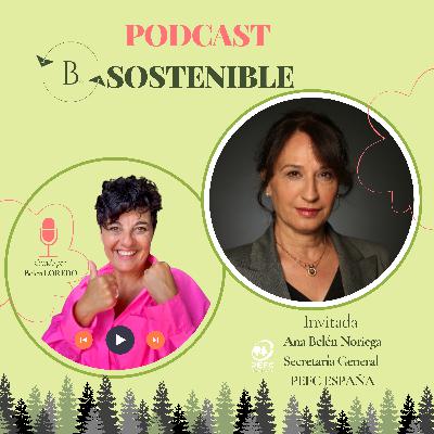 Bosques Sostenibles- PEFC España