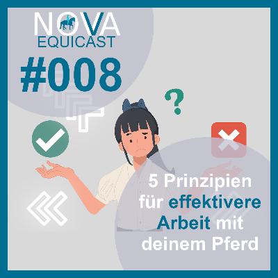 008 5 Prinzipien für effektivere Arbeit mit deinem Pferd.