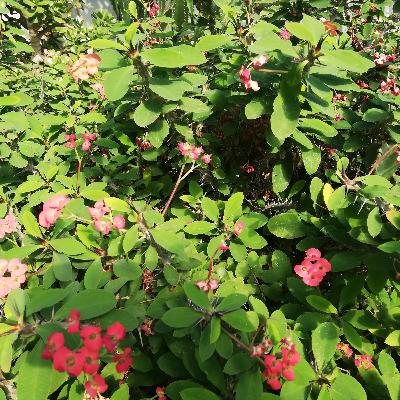 Soluções higiénicas