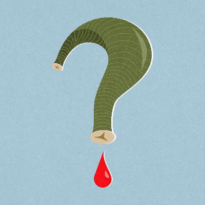 Leeches and the Legitimizing of Folk-Medicine