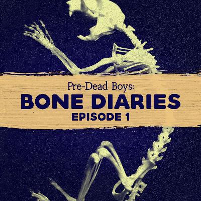 1: Bone Diaries ep. 1