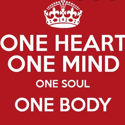One Mind One Body