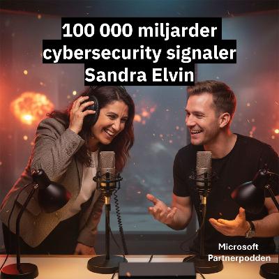 100 000 miljarder cybersecurity signaler - Sandra Elvin