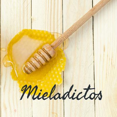 Mieles infusionadas o saborizadas