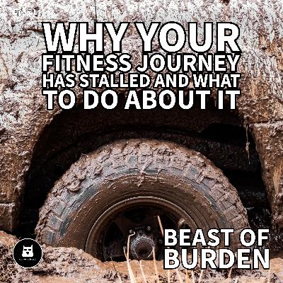 Why Your Fitness Journey Has Stalled and What To Do About It Why Your Fitness Journey Has Stalled and What To Do About It