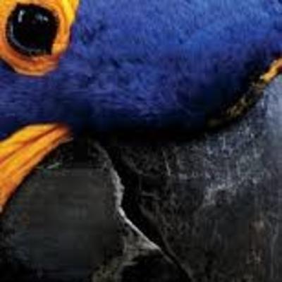 Habla sobre una opinión mía sobre el montaje Habla sobre una opinión mía sobre el montaje