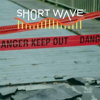 Nature Quest: Rebuild Or Relocate Post-Disaster?