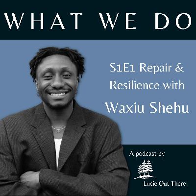What Waxiu Does - Repair & Resilience