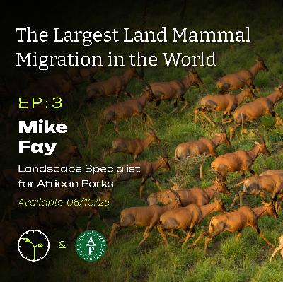 Conservation Across Africa: The Largest Land Mammal Migration with Mike Fay