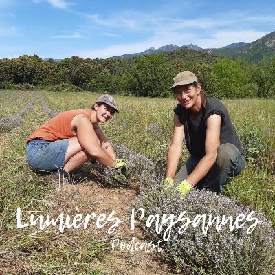 #12 Marie, viticulture et plantes aromatiques dans l'Hérault