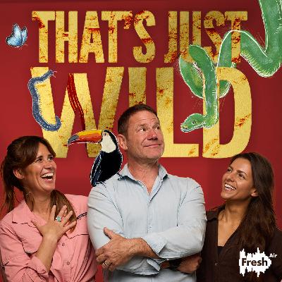 Special Preview: Hannah Stitful - How I got to be a Wildlife Filmmaker