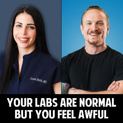 94: Your Labs Are Normal but You Feel Awful - The Hidden Gut Inflammation Blocking Hormone Healing with Josh Dech