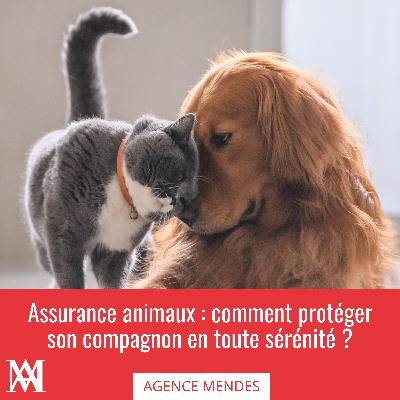Assurance animaux : comment protéger son compagnon en toute sérénité ? Assurance animaux : comment protéger son compagnon en toute sérénité ?
