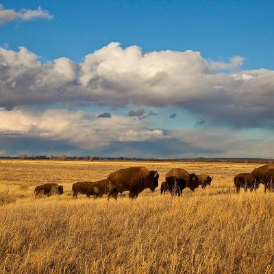 Wendy Lauritzen Developing A Career Wendy Lauritzen Developing A Career