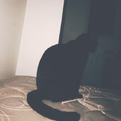 Overthinking with Lucii Bellé : Clingy Bellè at Midnight Overthinking with Lucii Bellé : Clingy Bellè at Midnight