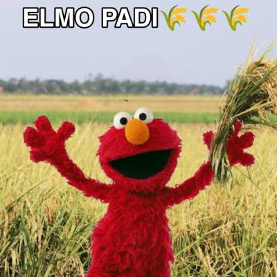 ILMU PADI MENYALA KAKAEE 🌾🌾🌾🔥🔥🔥