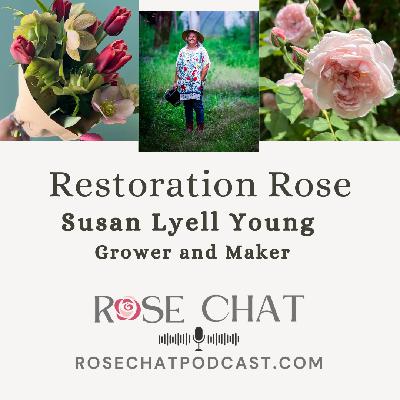 RESTORATION ROSE