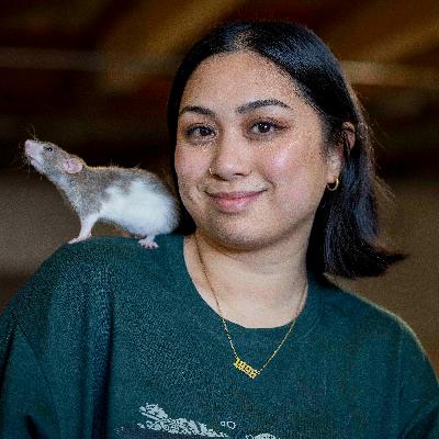 How dead mice delivered Mayor Lurie his first big fail How dead mice delivered Mayor Lurie his first big fail