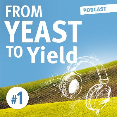 From Yeast to Yield - Ep. 1 : World of Yeast From Yeast to Yield - Ep. 1 : World of Yeast